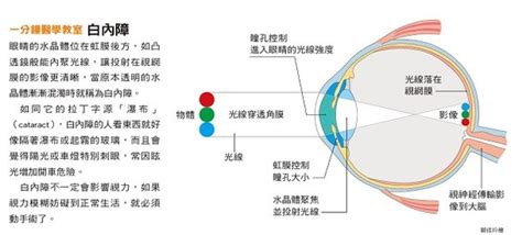 眼睛是什麼